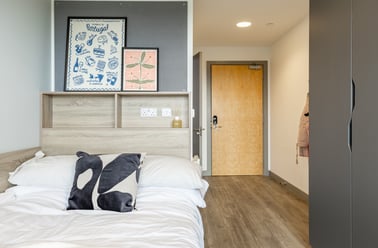 Standard Plus En Suite, Ashlin House, Bandon Road Cork, University College Cork, Cork - Image 3